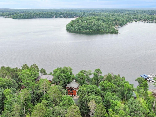 10960 Pine Beach Peninsula Rd, East Gull Lake, MN 56401 - photo 44