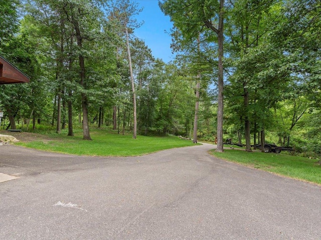 10960 Pine Beach Peninsula Rd, East Gull Lake, MN 56401 - photo 58