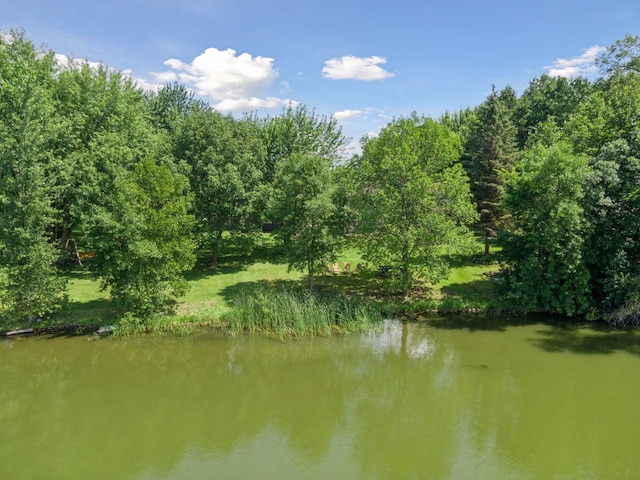 7861 Greer Ave NW, Corinna Twp, MN 55358 - photo 49