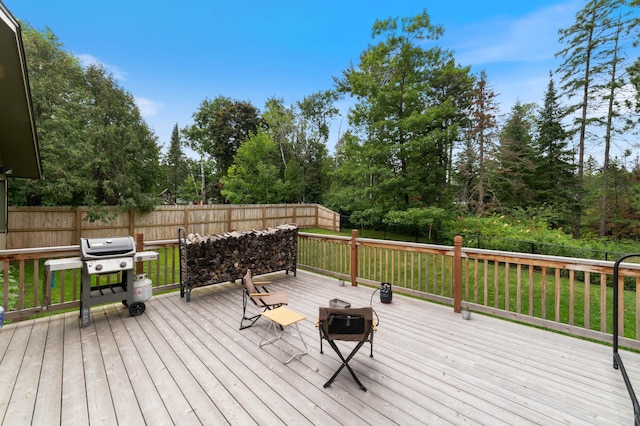 302 34th Ave E, Duluth, MN 55804 - photo 6
