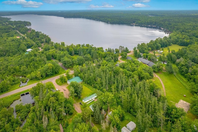 51870 Riverside Ln, Dell Grove Twp, MN 55072 - photo 20