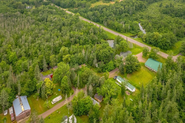 51870 Riverside Ln, Dell Grove Twp, MN 55072 - photo 21