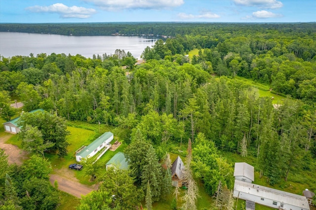 51870 Riverside Ln, Dell Grove Twp, MN 55072 - photo 24