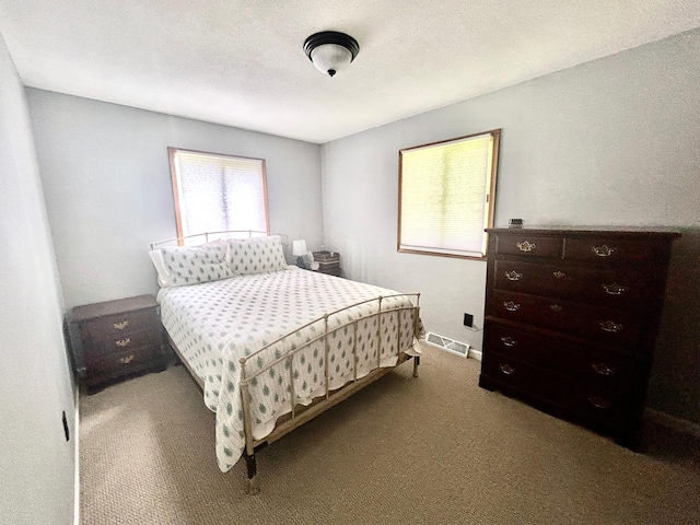 241 Paul St, Elko New Market, MN 55054 - photo 18