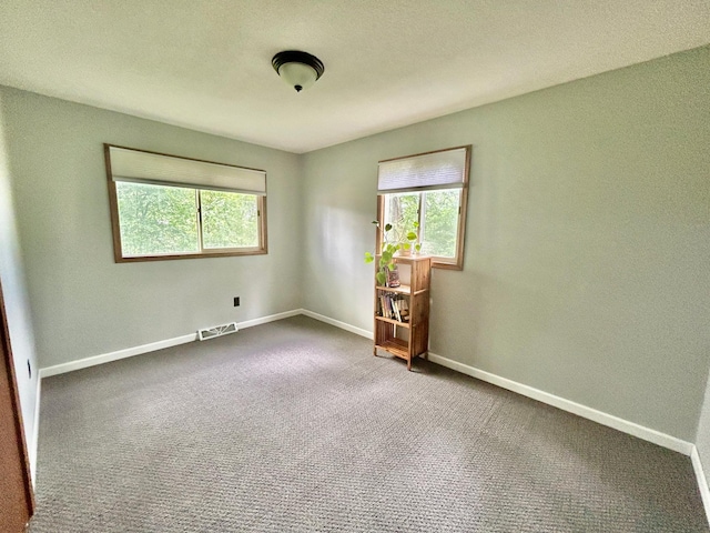241 Paul St, Elko New Market, MN 55054 - photo 20