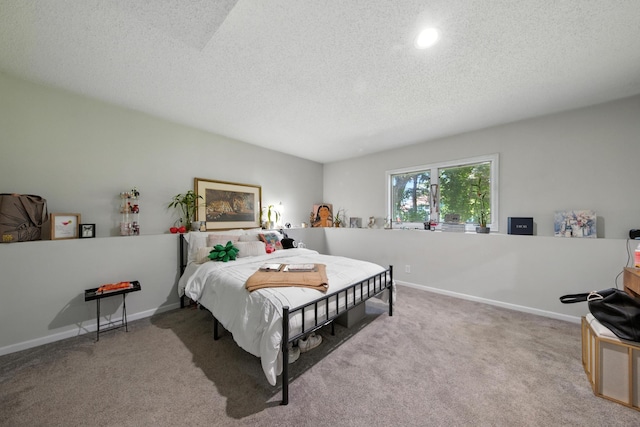 13120 Lily St NW, Coon Rapids, MN 55448 - photo 12