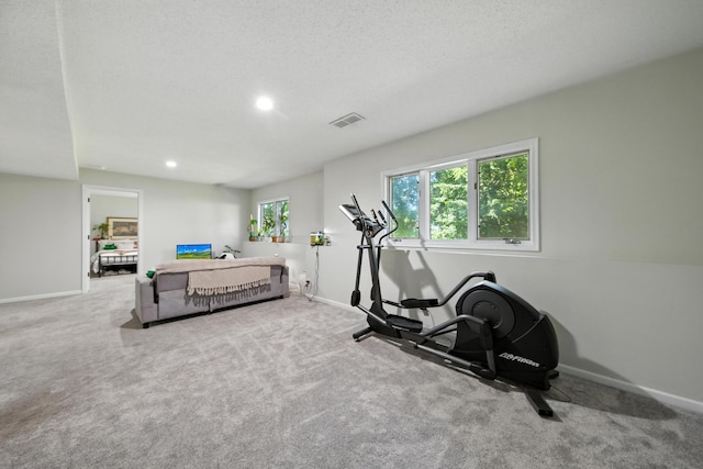 13120 Lily St NW, Coon Rapids, MN 55448 - photo 13