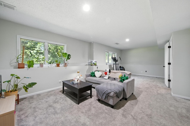 13120 Lily St NW, Coon Rapids, MN 55448 - photo 14