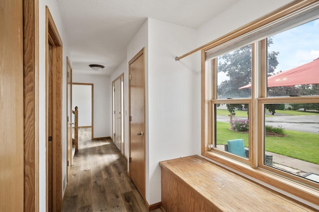 11410 42nd Pl N, Plymouth, MN 55441 - photo 9