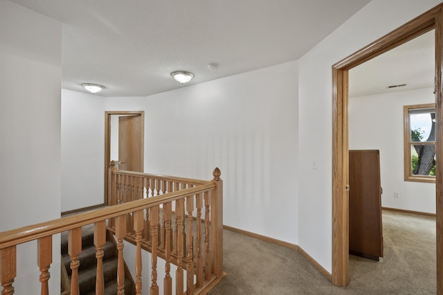 11410 42nd Pl N, Plymouth, MN 55441 - photo 18