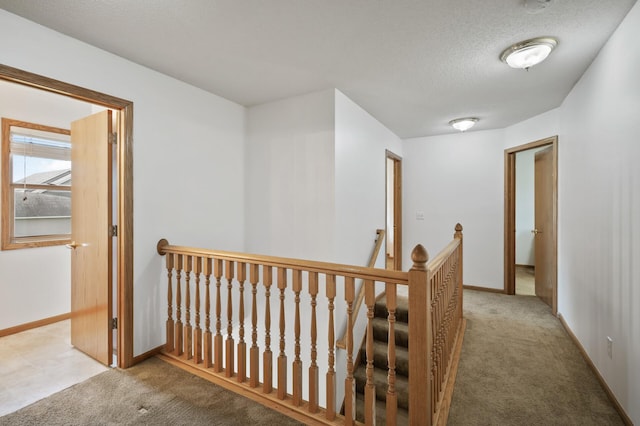 11410 42nd Pl N, Plymouth, MN 55441 - photo 26