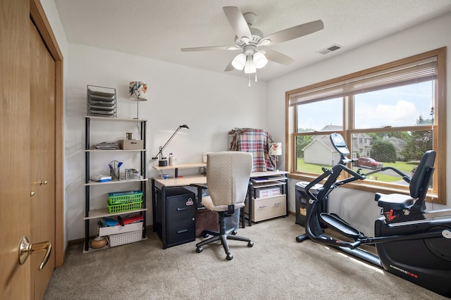 11410 42nd Pl N, Plymouth, MN 55441 - photo 27