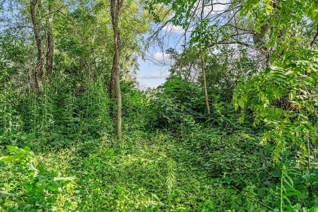 2240 Baker Trl, Faribault, MN 55021 - photo 43