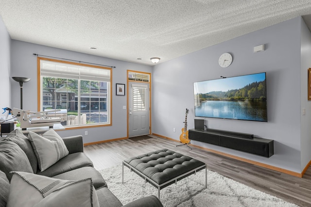17123 Nixon St NW, Elk River, MN 55330 - photo 5