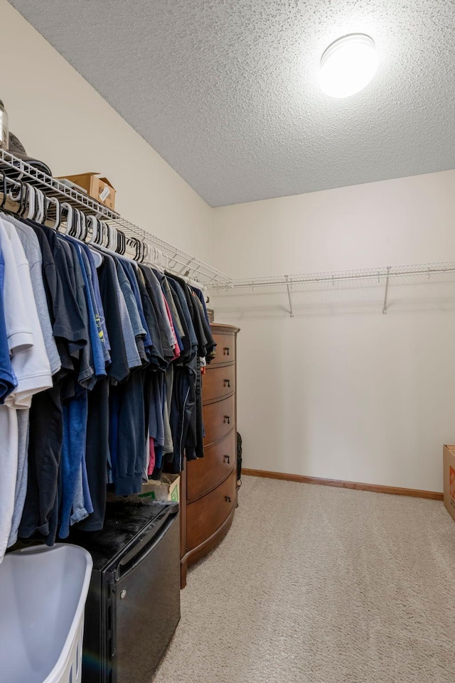 17123 Nixon St NW, Elk River, MN 55330 - photo 22