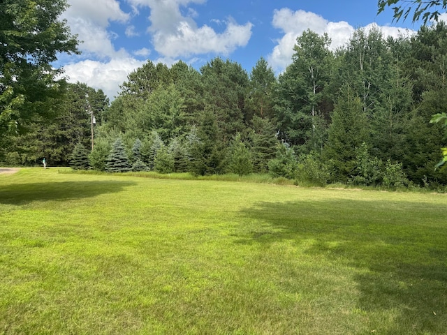 17863 Belle Pine Dr, Belle Prairie Twp, MN 56345 - photo 13