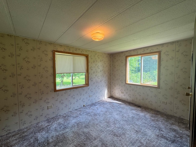 17863 Belle Pine Dr, Belle Prairie Twp, MN 56345 - photo 22