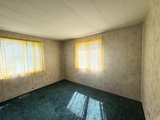 17863 Belle Pine Dr, Belle Prairie Twp, MN 56345 - photo 23