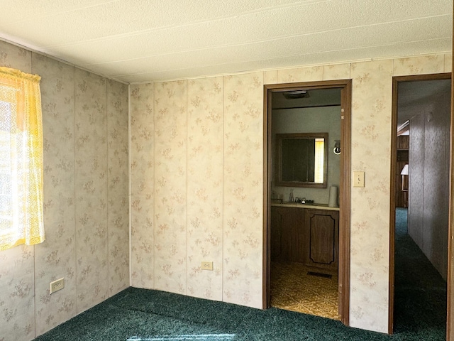 17863 Belle Pine Dr, Belle Prairie Twp, MN 56345 - photo 24