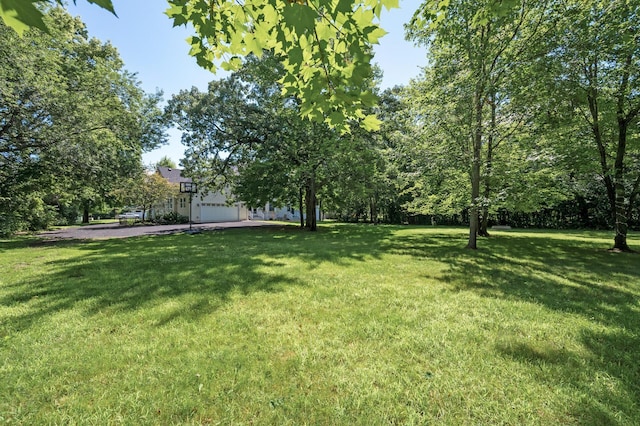 38104 Everton Ave, North Branch, MN 55056 - photo 48