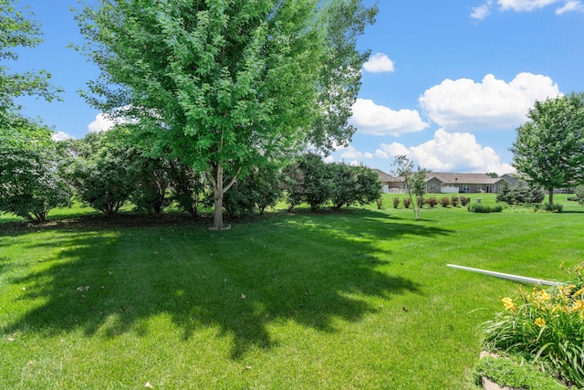 855 22nd St SE, Owatonna, MN 55060 - photo 26