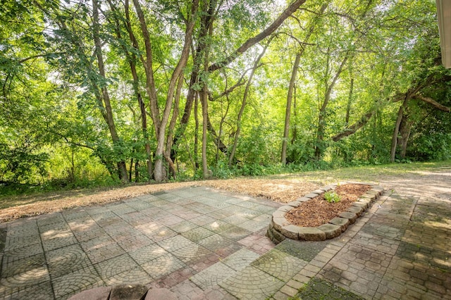 1004 Thomas Dr NE, Alexandria, MN 56308 - photo 4