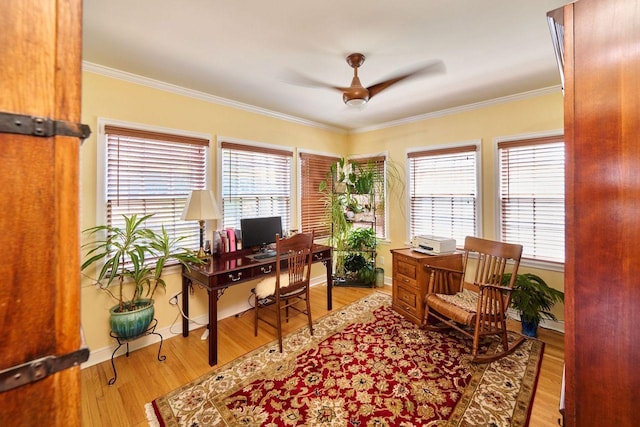 678 Sue Pl, Saint Paul, MN 55116 - photo 10