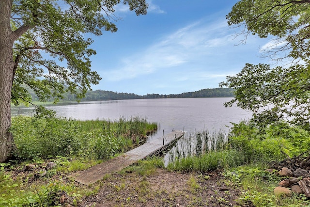 8991 Red Oak Dr, Garrison Twp, MN 56450 - photo 2