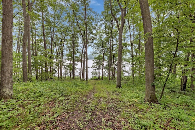 8991 Red Oak Dr, Garrison Twp, MN 56450 - photo 4