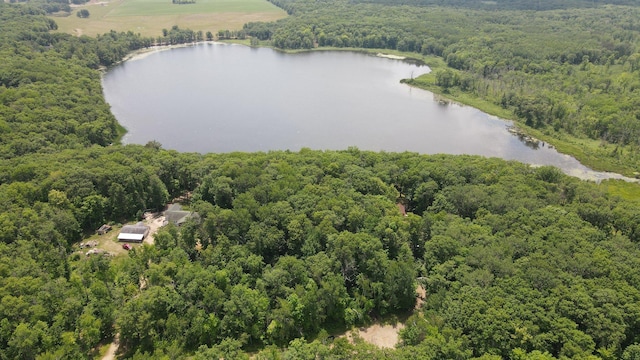 8991 Red Oak Dr, Garrison Twp, MN 56450 - photo 13