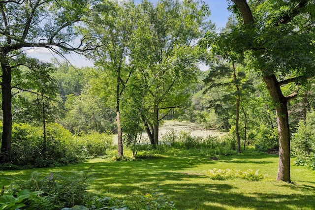 102 Kraft Rd W, Saint Paul, MN 55118 - photo 33
