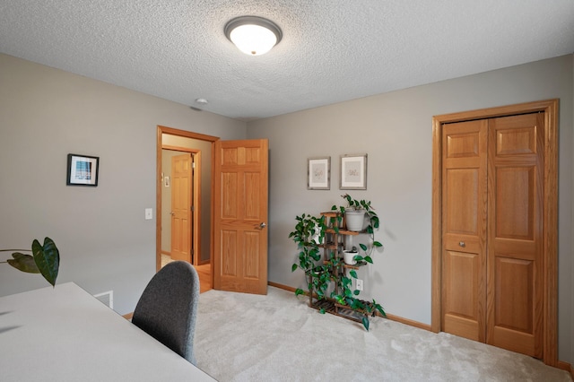 15911 Drake St NW, Andover, MN 55304 - photo 22