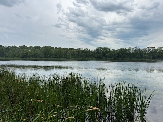 TBD Bass Lake Ln, Aurdal Twp, MN 56586 - photo 1