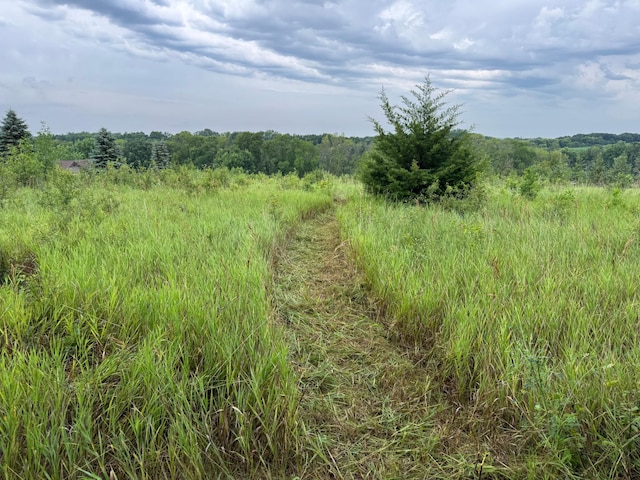 TBD Bass Lake Ln, Aurdal Twp, MN 56586 - photo 4