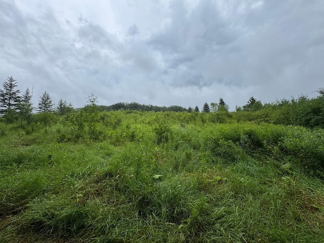 TBD Bass Lake Ln, Aurdal Twp, MN 56586 - photo 5