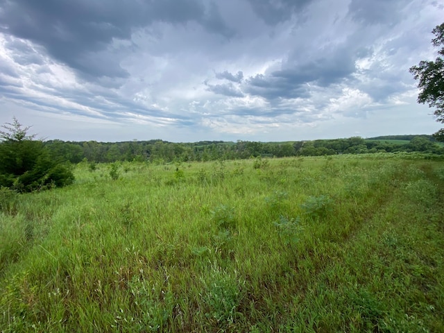 TBD Bass Lake Ln, Aurdal Twp, MN 56586 - photo 6