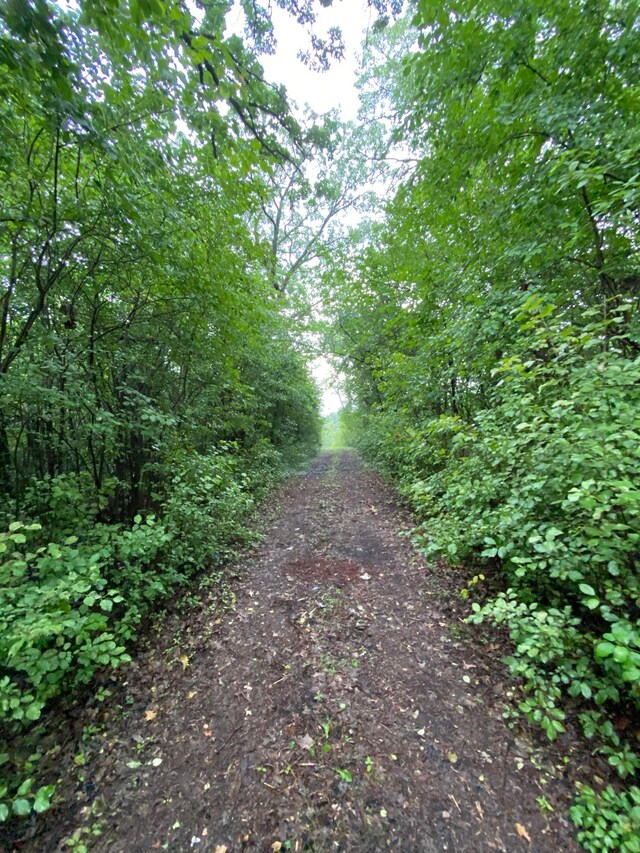 TBD Bass Lake Ln, Aurdal Twp, MN 56586 - photo 8