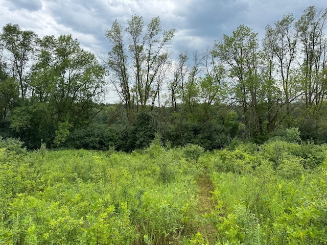 TBD Bass Lake Ln, Aurdal Twp, MN 56586 - photo 11