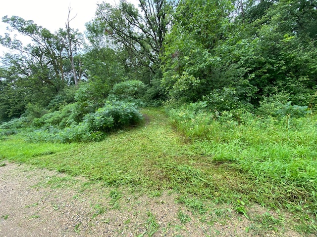 TBD Bass Lake Ln, Aurdal Twp, MN 56586 - photo 15