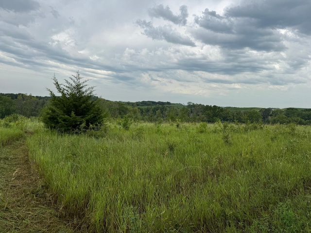 TBD Bass Lake Ln, Aurdal Twp, MN 56586 - photo 17
