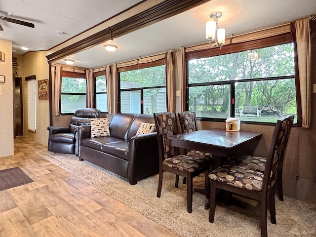15 Pommier Ln, Lake Sarah Twp, MN 56132 - photo 11