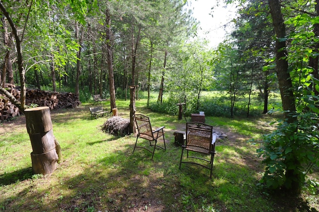 525 Nordic Ln, Troy Twp, WI 54016 - photo 17