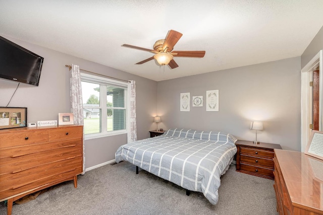 828 Hillside Ct, Nicollet, MN 56074 - photo 11
