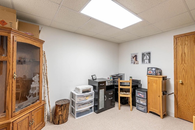 828 Hillside Ct, Nicollet, MN 56074 - photo 22