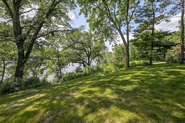 828 Greeley St S, Stillwater, MN 55082 - photo 43