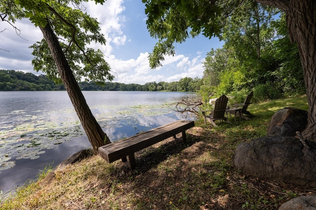 828 Greeley St S, Stillwater, MN 55082 - photo 45