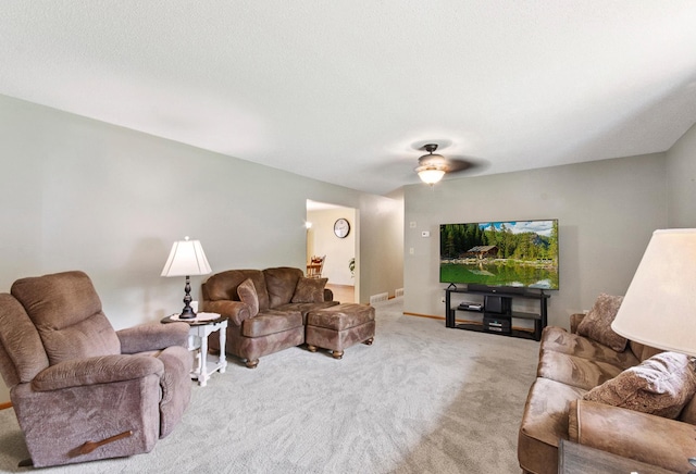1011 Maple St S, Northfield, MN 55057 - photo 25