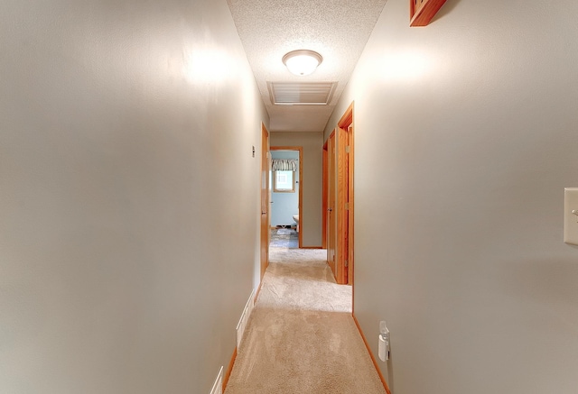 1011 Maple St S, Northfield, MN 55057 - photo 26