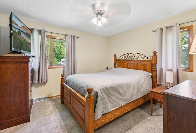 1011 Maple St S, Northfield, MN 55057 - photo 27