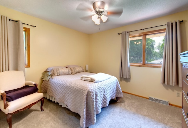 1011 Maple St S, Northfield, MN 55057 - photo 32